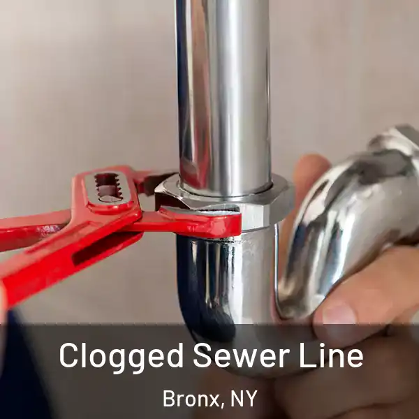  Clogged Sewer Line Bronx, NY