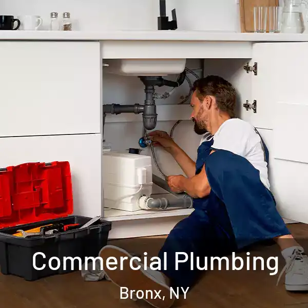  Commercial Plumbing Bronx, NY