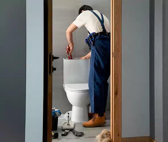 Professional Plumbers for Toilet Bowl Replacement in Bronx, NY: Schedule Affordable Toilet Replacement Services With Us