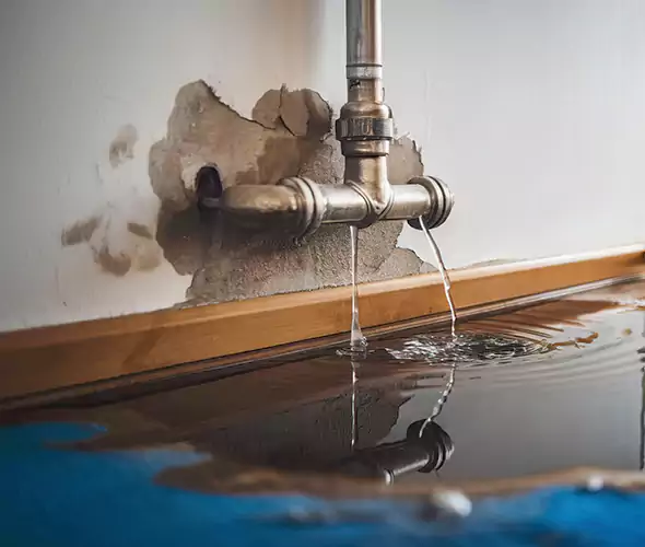 Professional Water Damage Restoration Experts in Bronx, NY — Fast, Reliable & Certified