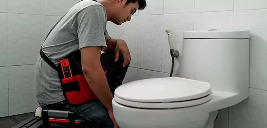 Toilet Repair in Bronx