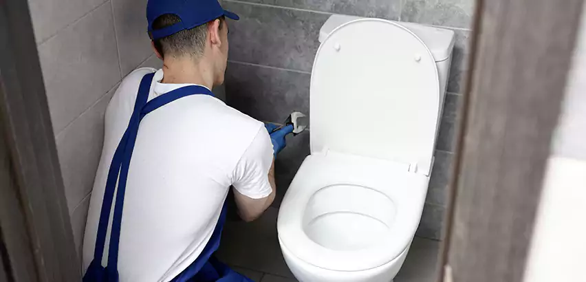 Toilet Lid Replacement in Bronx