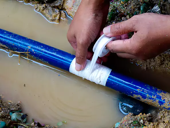  Why Choose Plumbers Bronx NY for Leak Detection in Bronx, NY?]