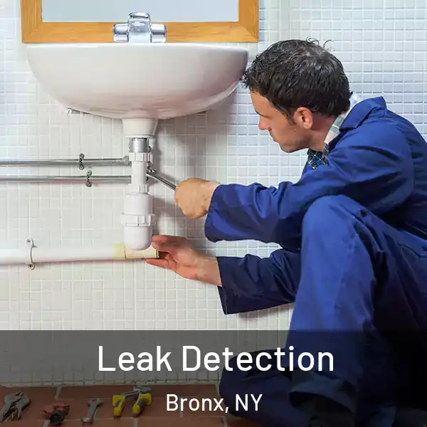  Leak Detection Bronx, NY