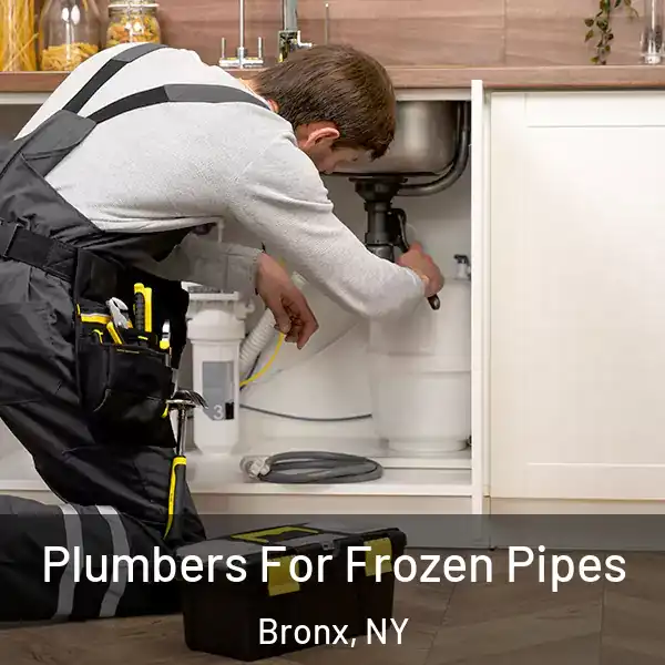  Plumbers For Frozen Pipes Bronx, NY