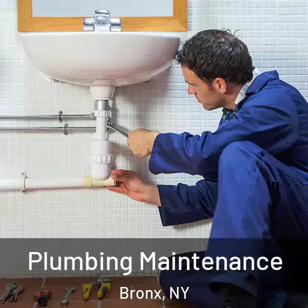  Plumbing Maintenance Bronx, NY