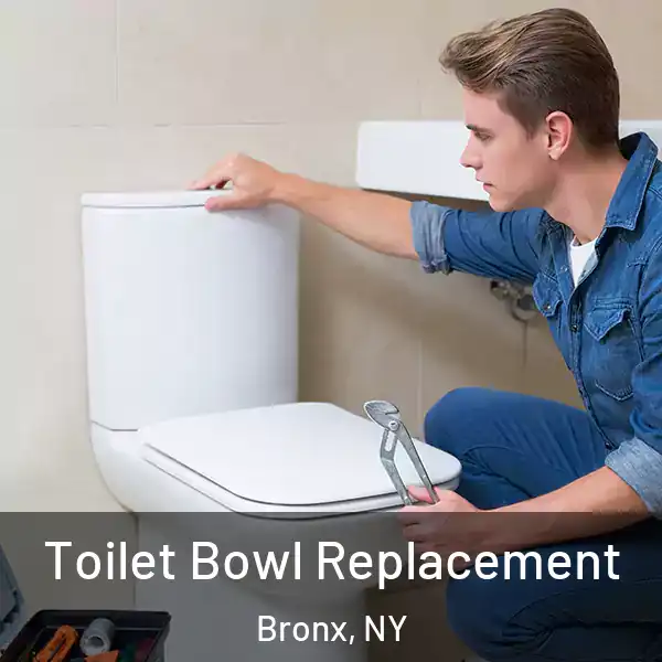  Toilet Bowl Replacement Bronx, NY
