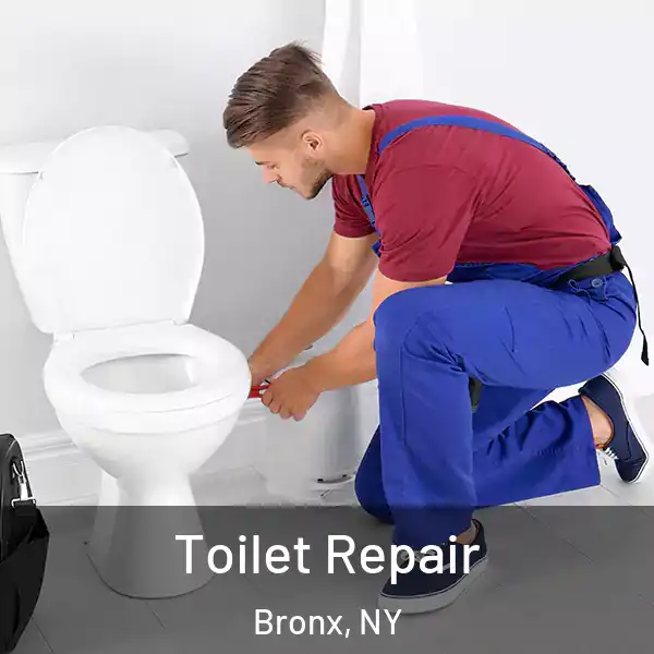  Toilet Repair Bronx, NY