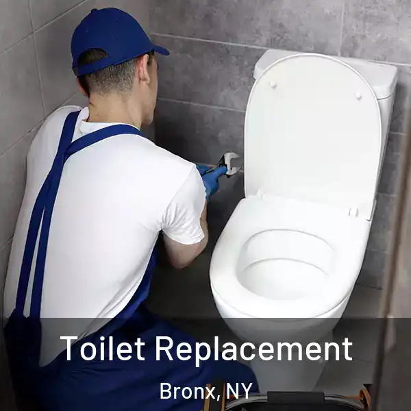  Toilet Replacement Bronx, NY