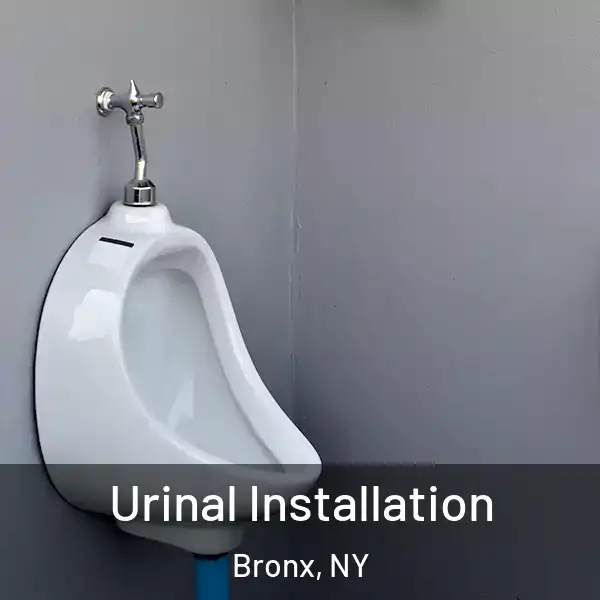  Urinal Installation Bronx, NY