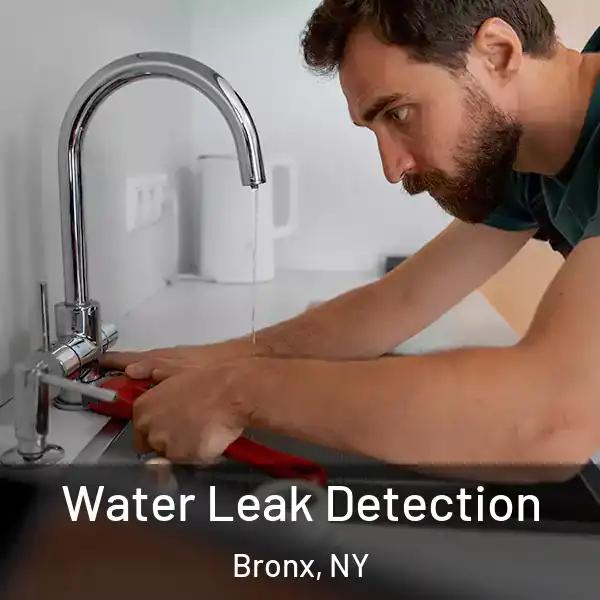  Water Leak Detection Bronx, NY